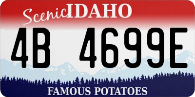 ID license plate 4B4699E