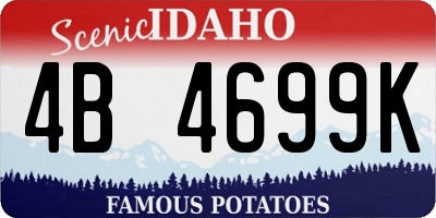 ID license plate 4B4699K