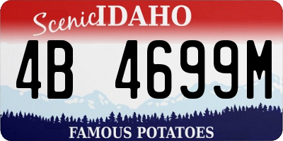 ID license plate 4B4699M
