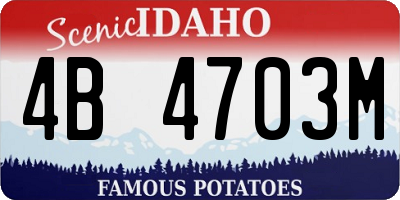 ID license plate 4B4703M