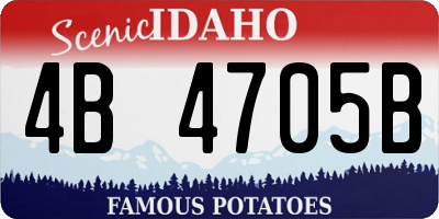 ID license plate 4B4705B