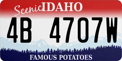ID license plate 4B4707W