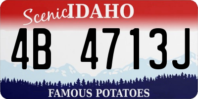 ID license plate 4B4713J