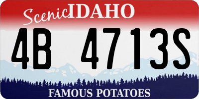 ID license plate 4B4713S