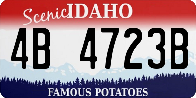 ID license plate 4B4723B