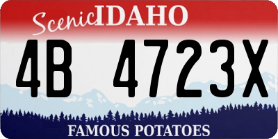 ID license plate 4B4723X