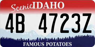 ID license plate 4B4723Z