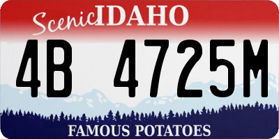 ID license plate 4B4725M