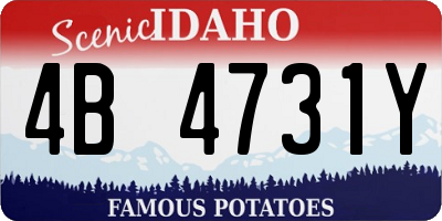 ID license plate 4B4731Y