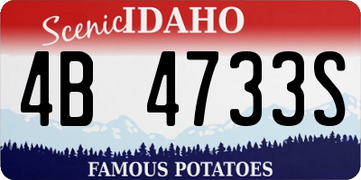 ID license plate 4B4733S