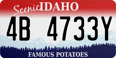 ID license plate 4B4733Y
