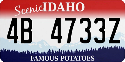 ID license plate 4B4733Z
