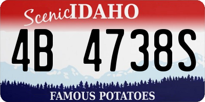 ID license plate 4B4738S