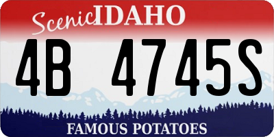 ID license plate 4B4745S