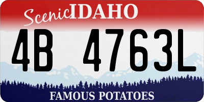 ID license plate 4B4763L