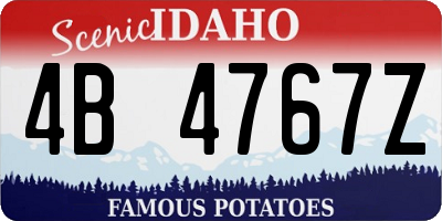 ID license plate 4B4767Z
