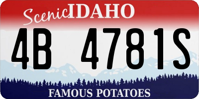 ID license plate 4B4781S