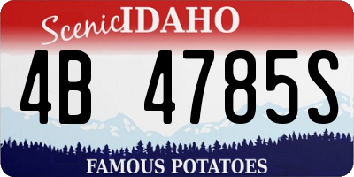 ID license plate 4B4785S