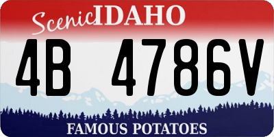ID license plate 4B4786V