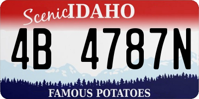 ID license plate 4B4787N