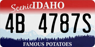ID license plate 4B4787S