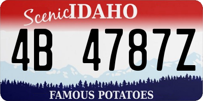ID license plate 4B4787Z