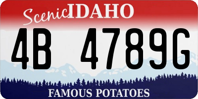 ID license plate 4B4789G