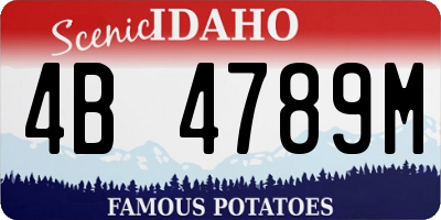 ID license plate 4B4789M