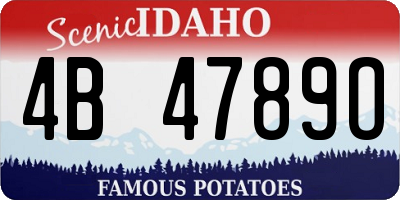 ID license plate 4B4789O