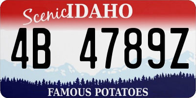 ID license plate 4B4789Z