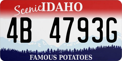 ID license plate 4B4793G