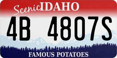 ID license plate 4B4807S