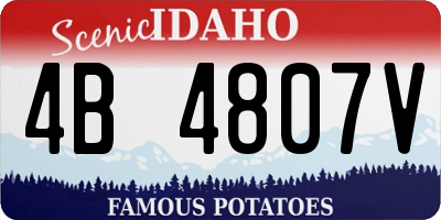 ID license plate 4B4807V