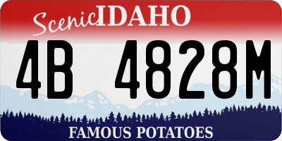 ID license plate 4B4828M
