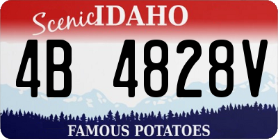 ID license plate 4B4828V