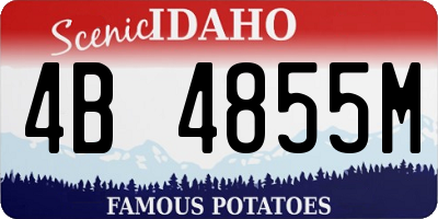 ID license plate 4B4855M