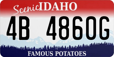 ID license plate 4B4860G