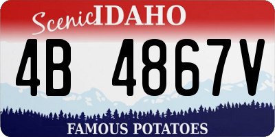 ID license plate 4B4867V