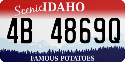 ID license plate 4B4869Q