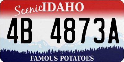 ID license plate 4B4873A