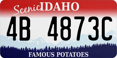 ID license plate 4B4873C