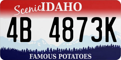 ID license plate 4B4873K