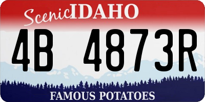 ID license plate 4B4873R