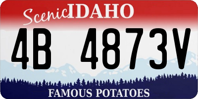 ID license plate 4B4873V