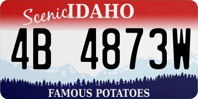 ID license plate 4B4873W