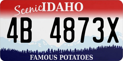 ID license plate 4B4873X