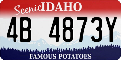 ID license plate 4B4873Y