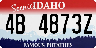 ID license plate 4B4873Z