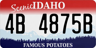 ID license plate 4B4875B