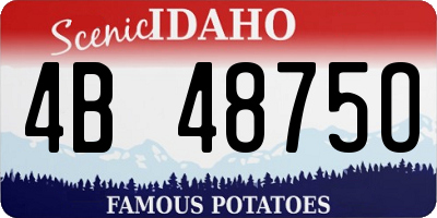 ID license plate 4B4875O